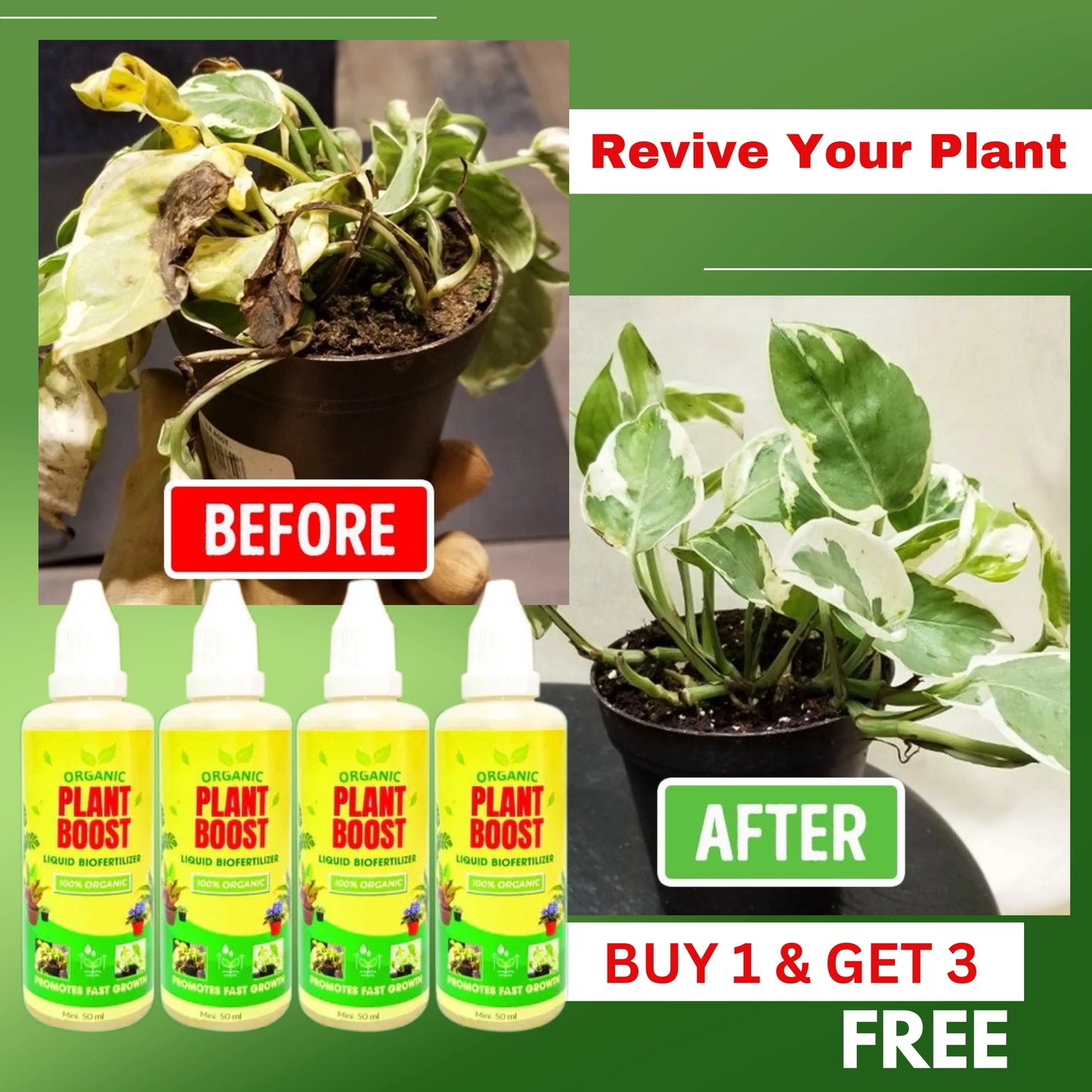 Plant Boost Liquid Biofertilizer for All Crops,Organic (Buy 1 Get 3 Free)